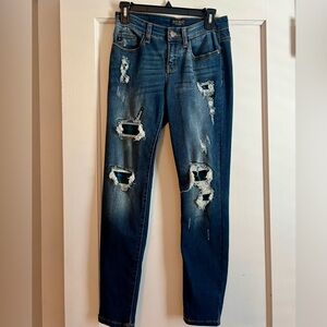 Judy Blue Skinny Jeans